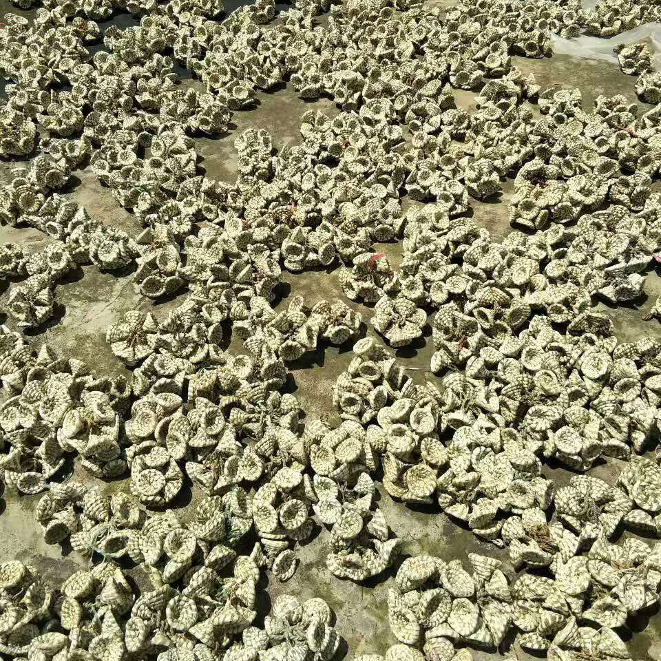 草帽风铃配件 (2)