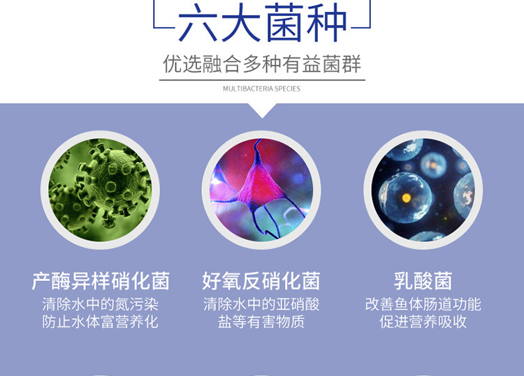 硝化细菌-详情750_05