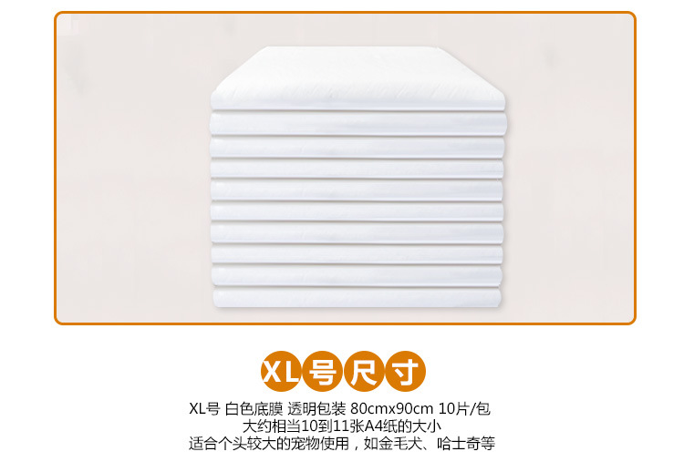 宠物透明集合_05