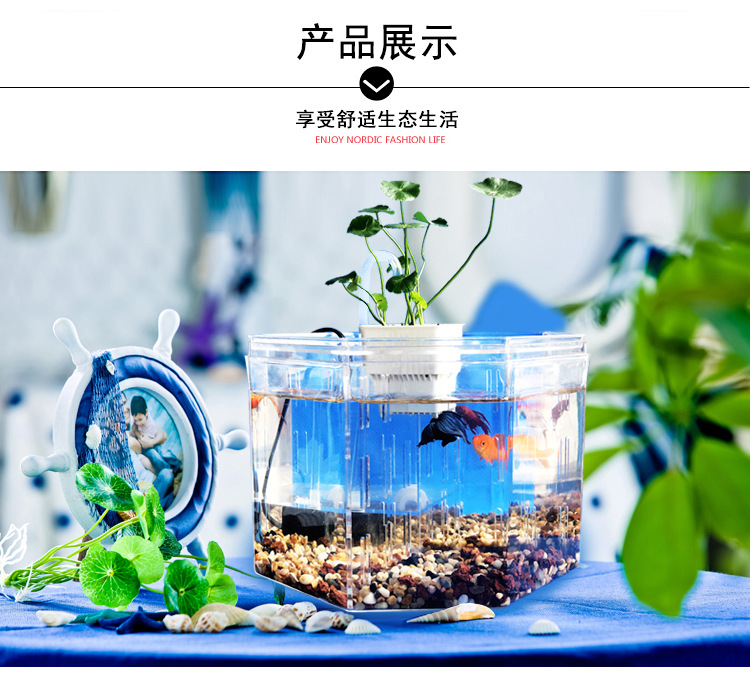 斗鱼缸_05