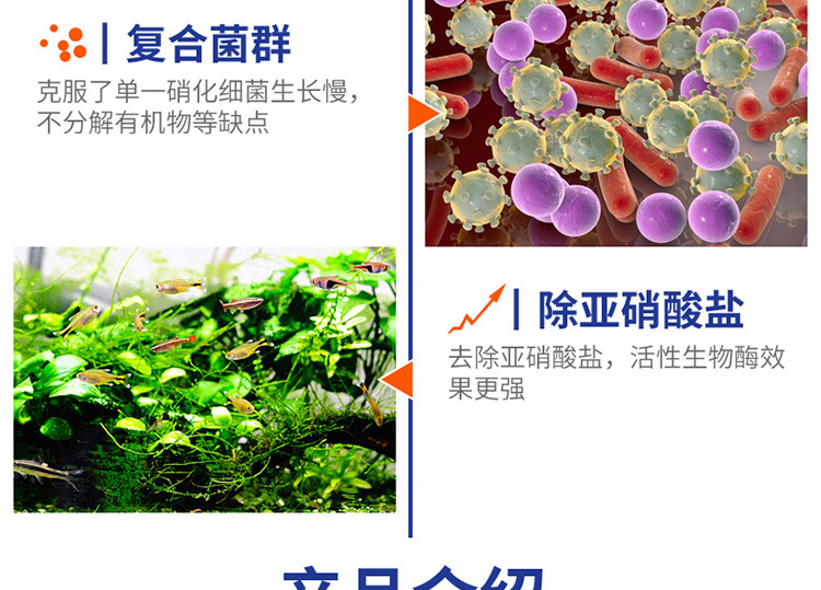 硝化细菌-详情750_11