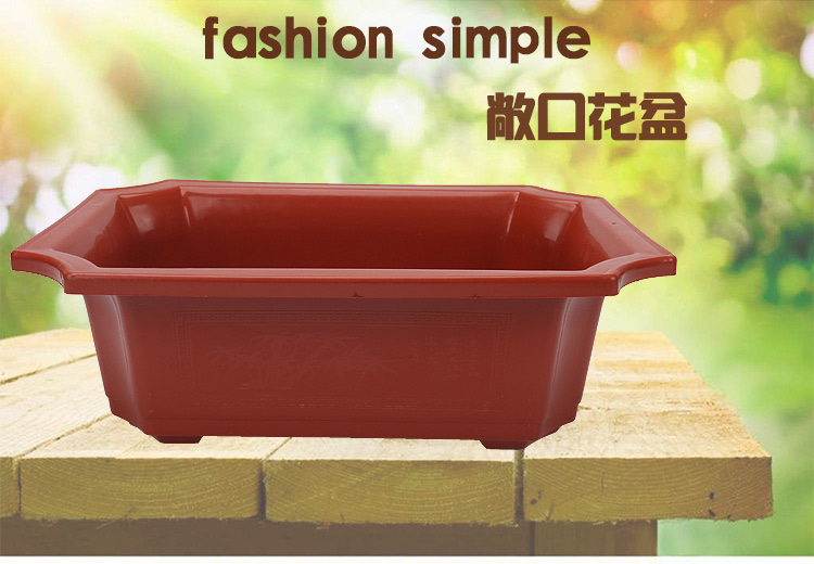 花盆20_01