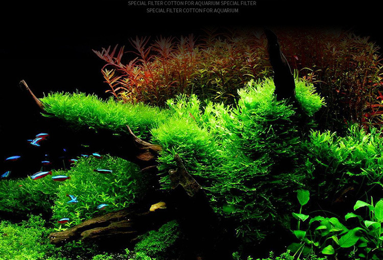 过滤棉-详情750_10