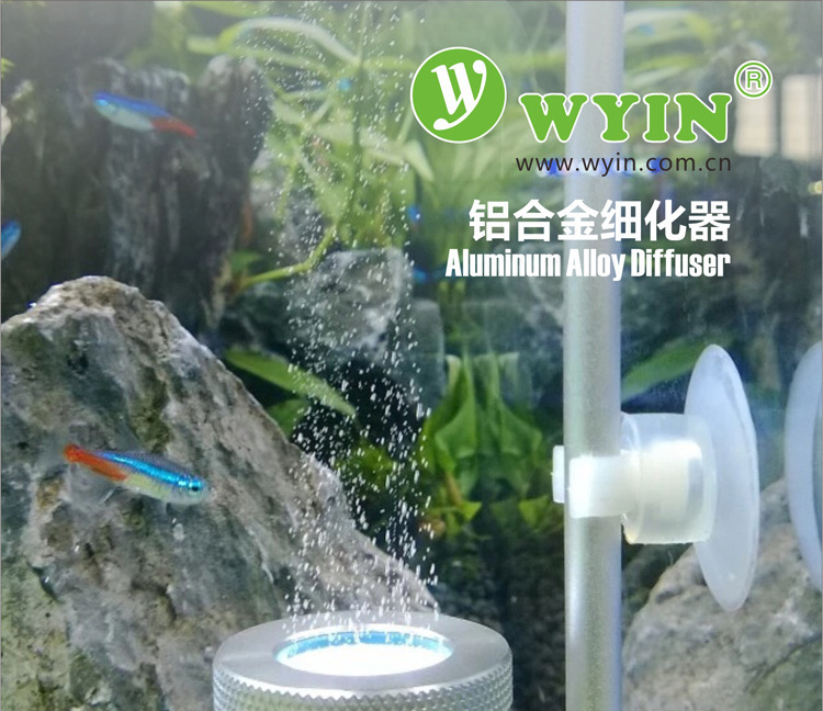 2848521790_159139953