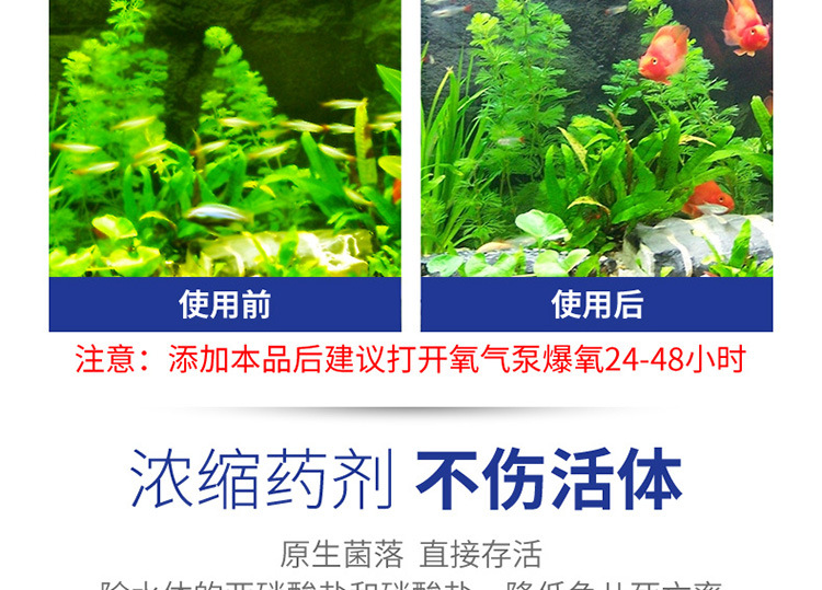 硝化细菌-详情750_03