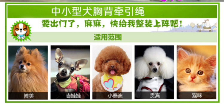 JC001-贴布牵引_02