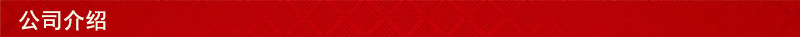 公司介绍