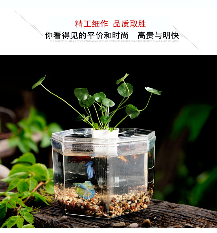 斗鱼缸_04