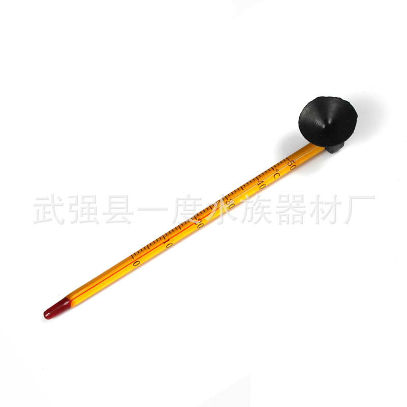 TB2tHbsipXXXXX5XXXXXXXXXXXX_!!