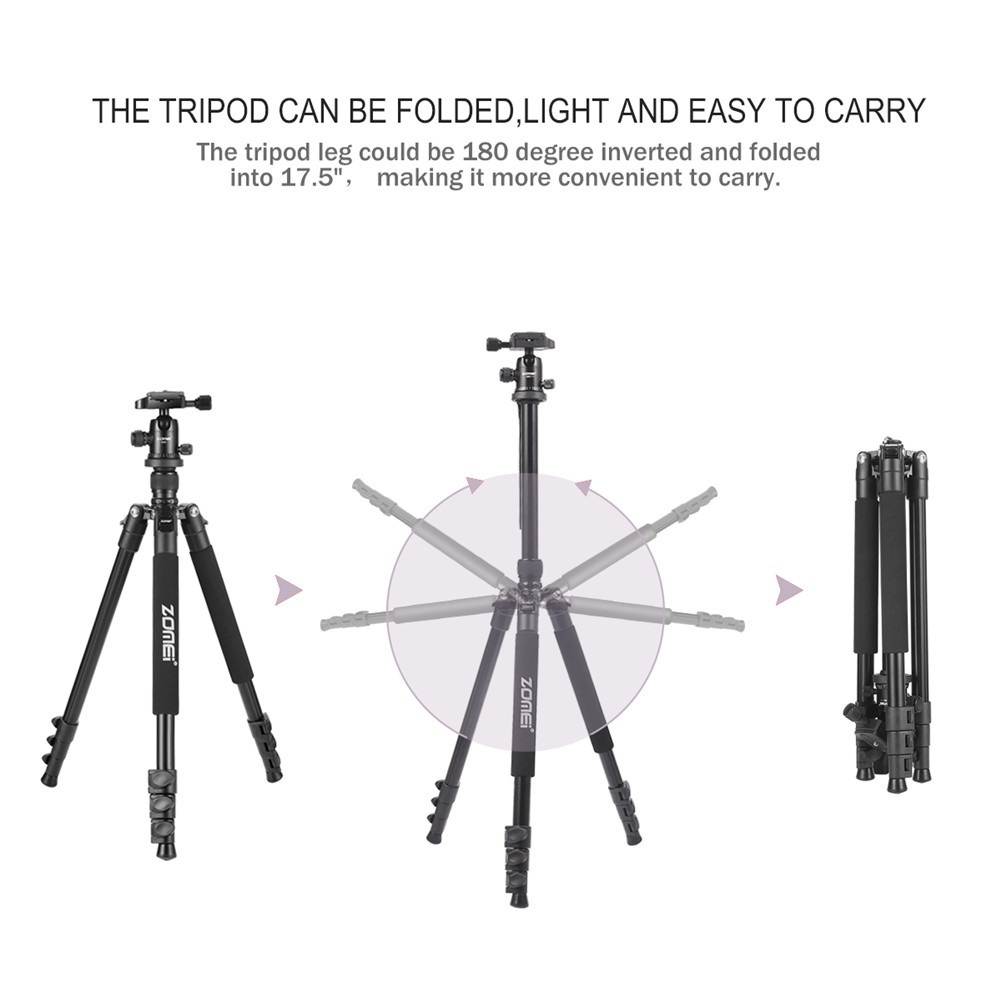 lightweight tripod
