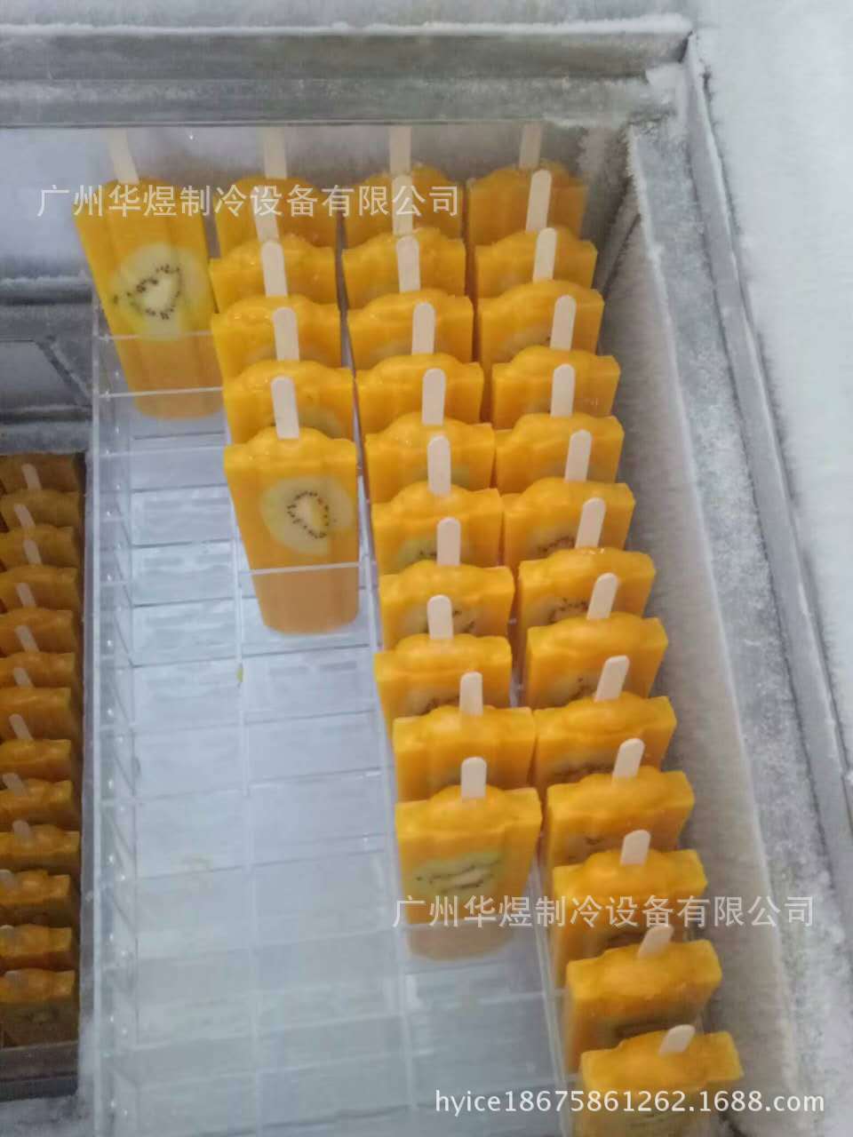 1146951071644906