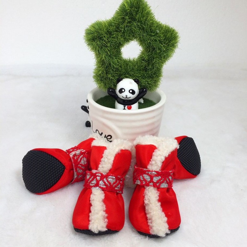 4704670507_12541678595