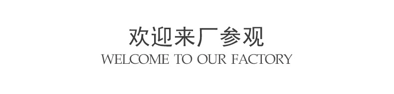 13欢迎来厂参观
