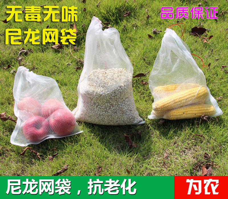 4392500300_782968901