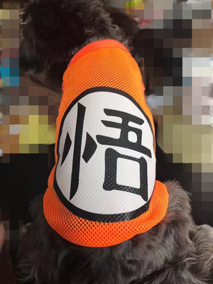 悟字网纱