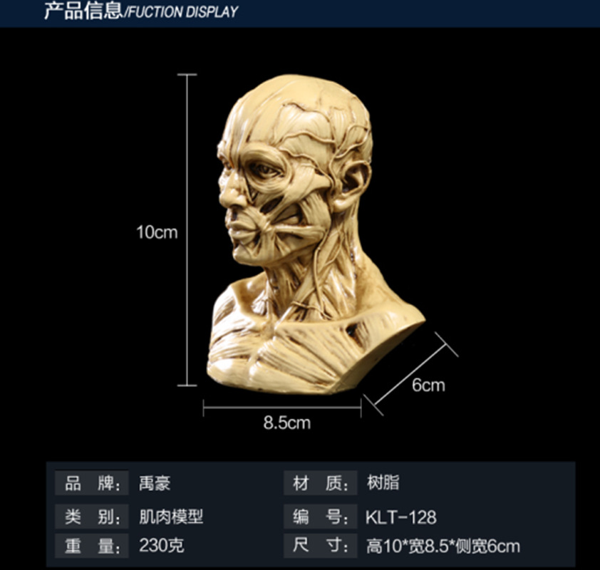 骷髅头-129 (4)_副本