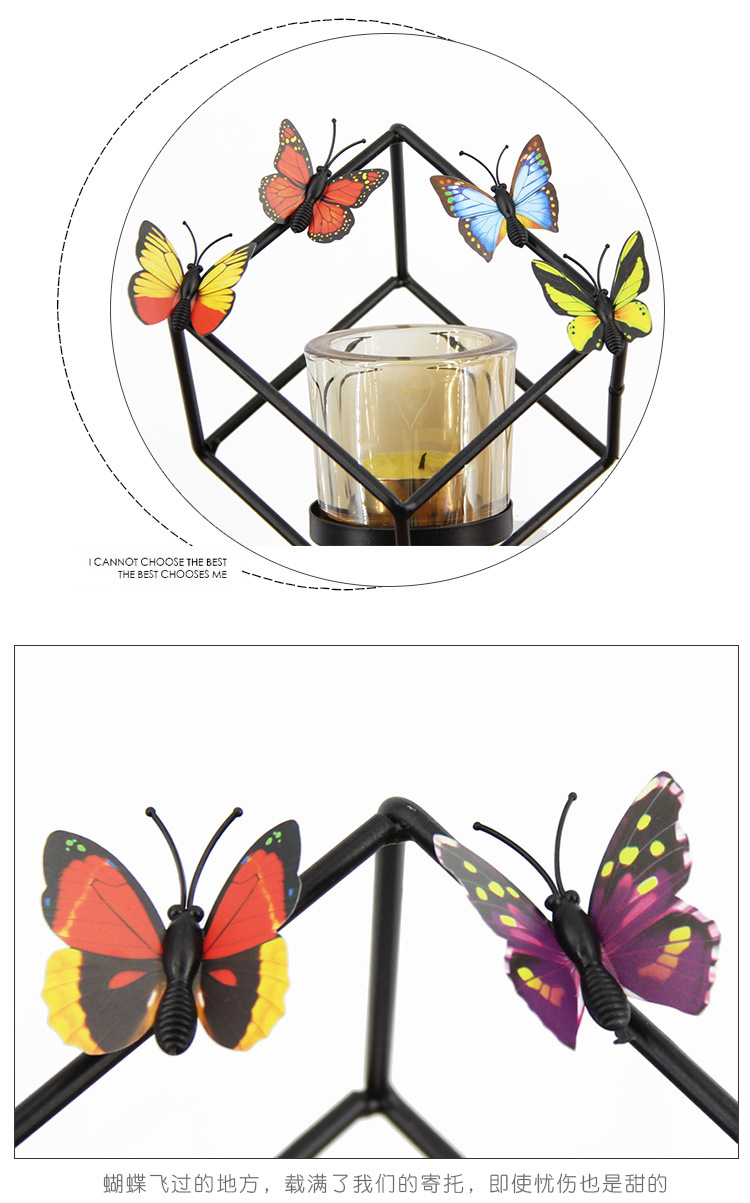 蝴蝶1_09.jpg