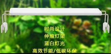 WeChat 圖片_20181126222828