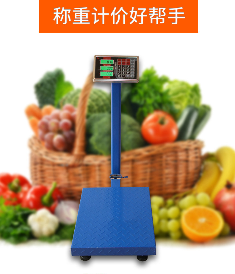 电子折叠台秤--永州_08