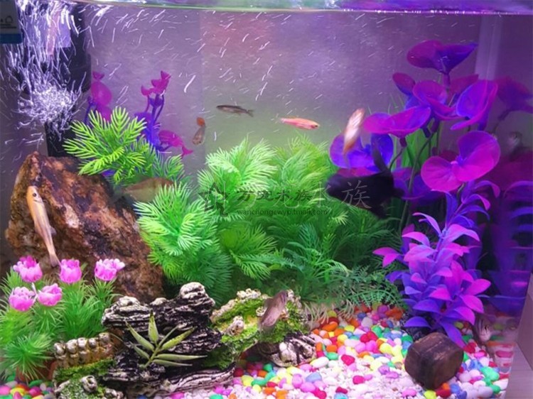 imagelock:3;k:r;s:J/x3zZmo8SxWIF8LKShyvD7nNAkN64SY0kuO8+3Jl0NQ2SDeWjI5Zzj/SIB4zuQbwnTD1/K20+fL4ef6D4mWr3x49D/7AaeDIto1CzoQkL2+fyOr5AaXV4YgS9vLfnla