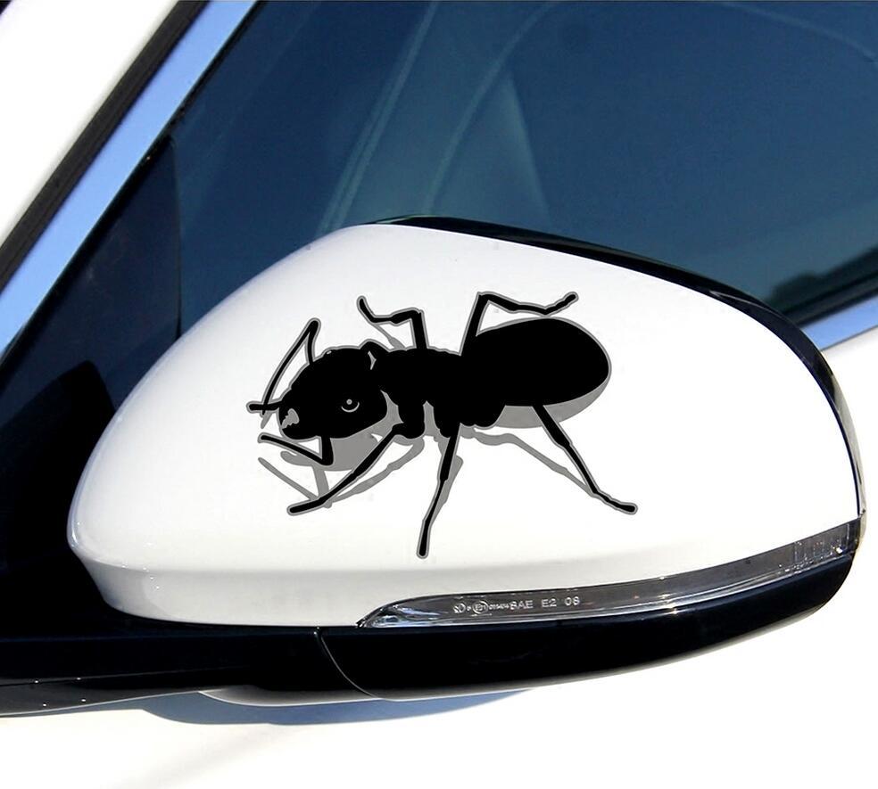 TB2nmE8Xqi5V1BjSspmXXXlwpXa_!!