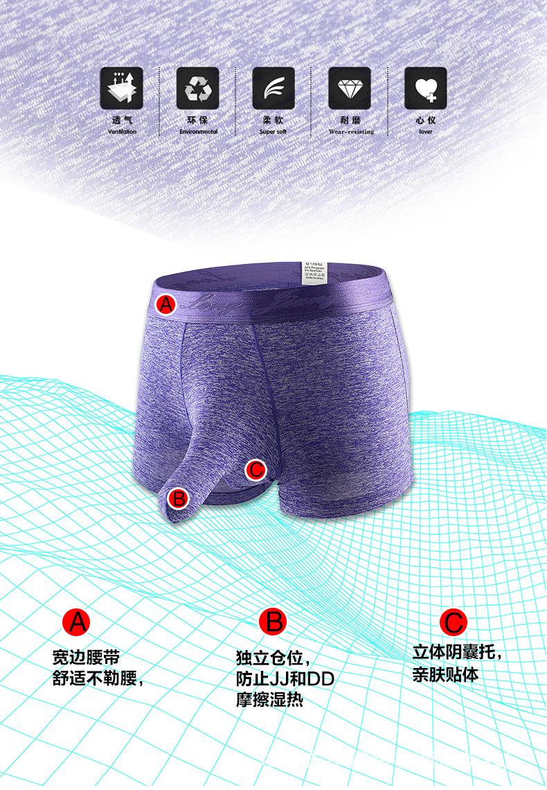 详情_02.jpg