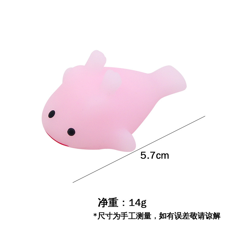 海豚.jpg