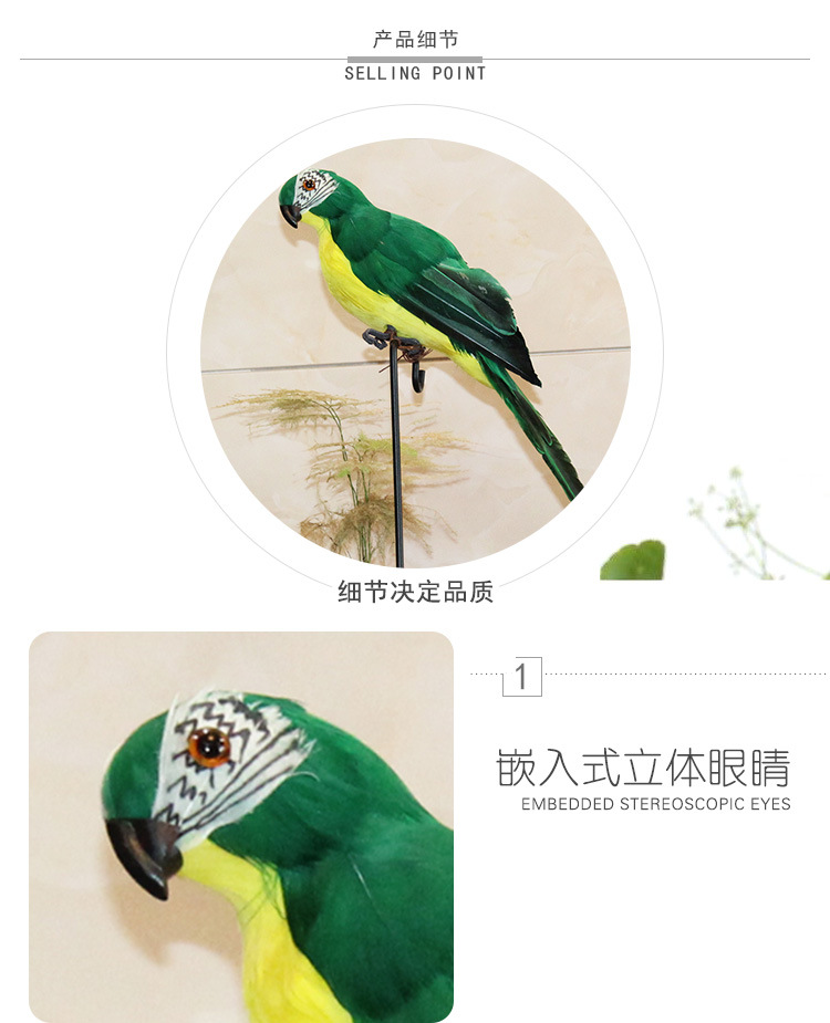 鹦鹉、_07.jpg