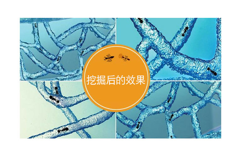 凝胶包详情_02