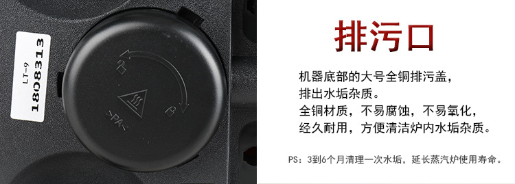 LT-9(1)_15.jpg