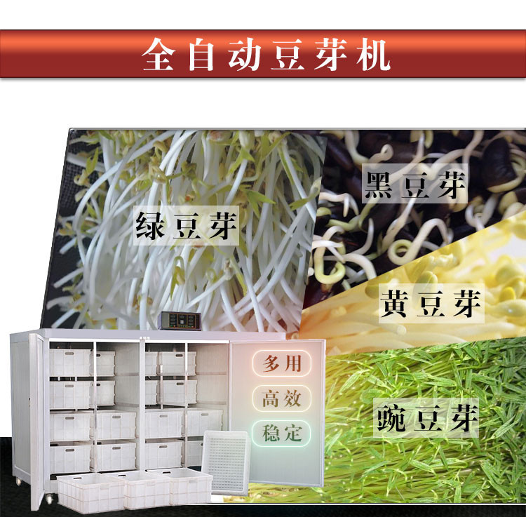 大型豆芽机