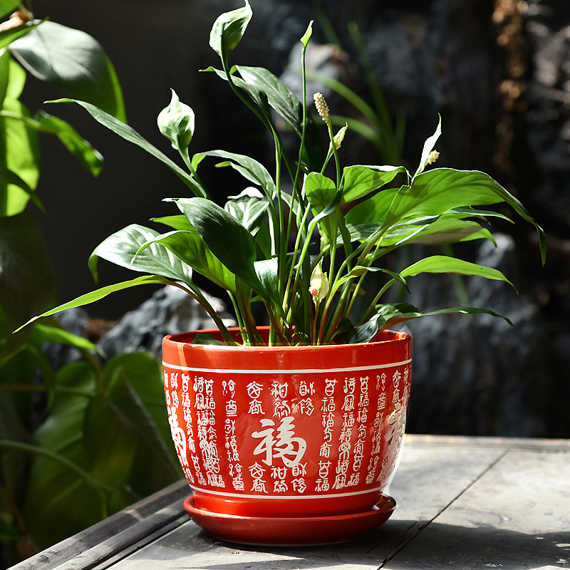 DSC_6201 副本.jpg