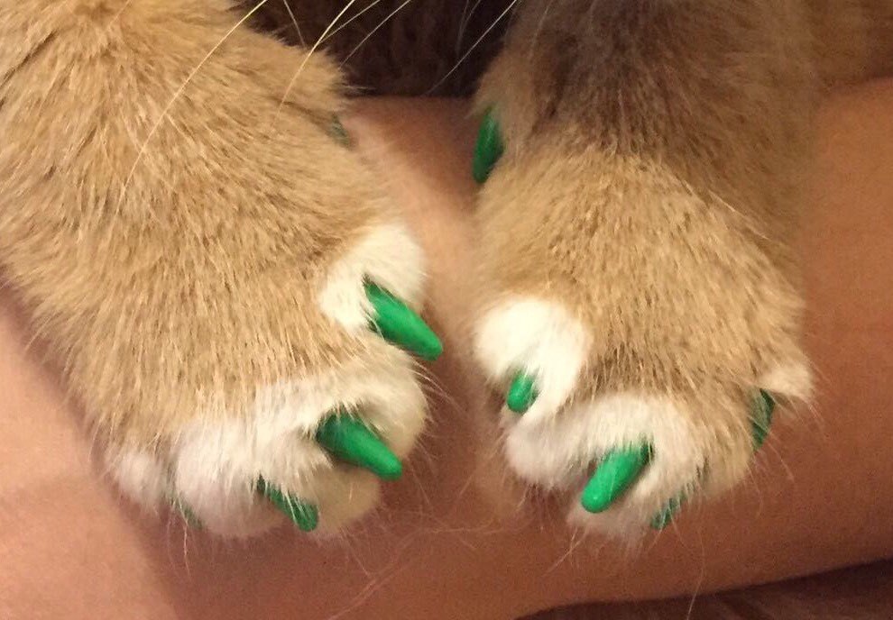 UT8qrhOX8paXXagOFbXI