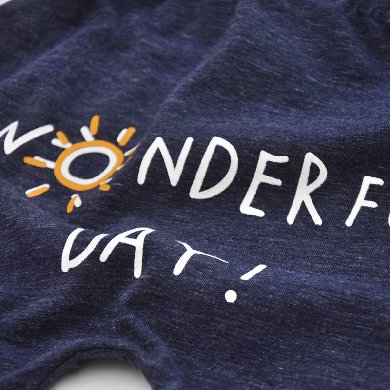 QQ图片20180620110245