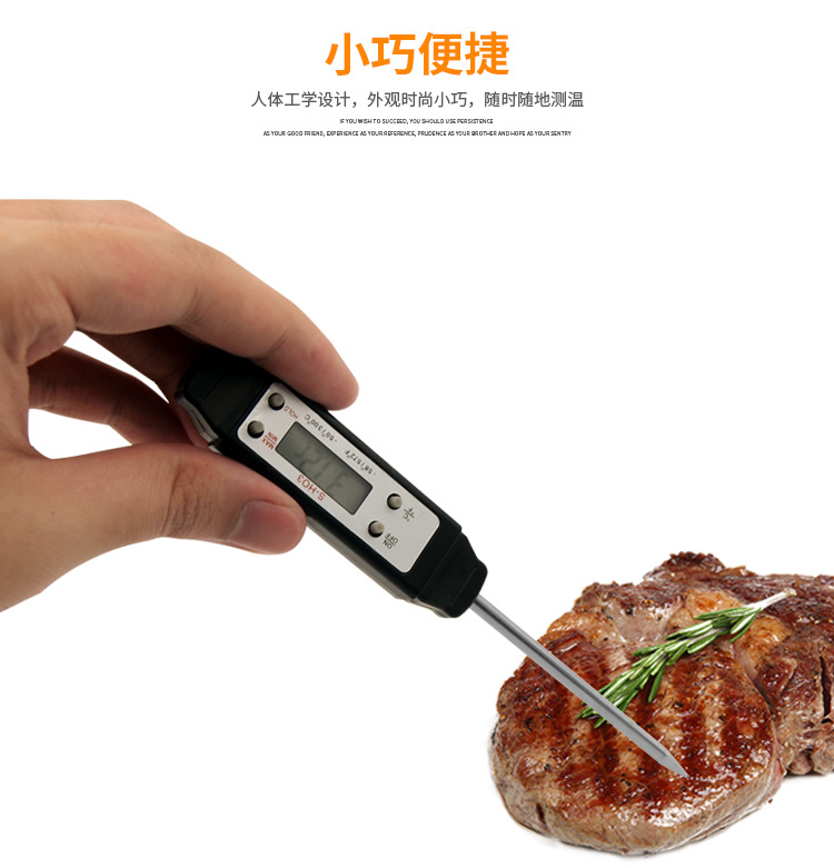 肉类温度计