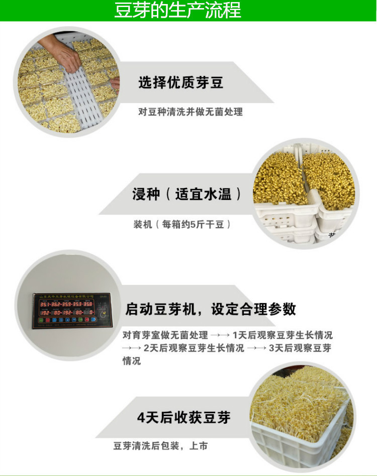 豆芽机器批发