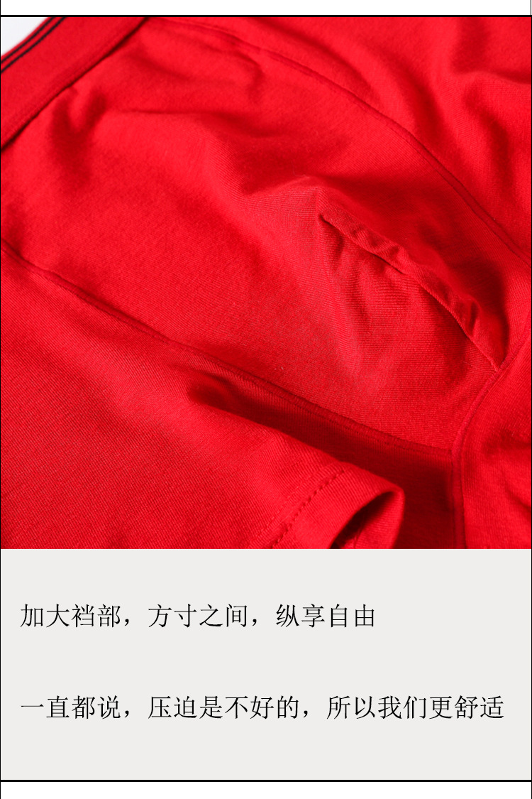 V602_10.jpg