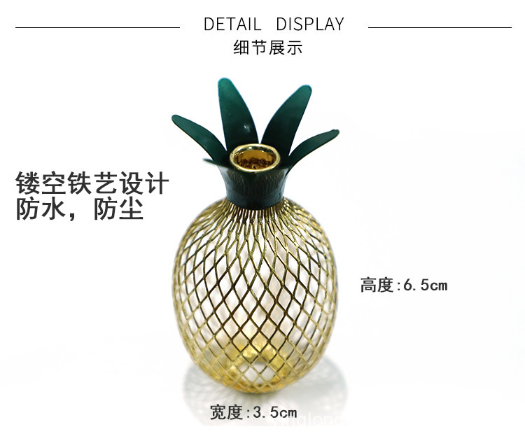 菠萝灯串_09.jpg