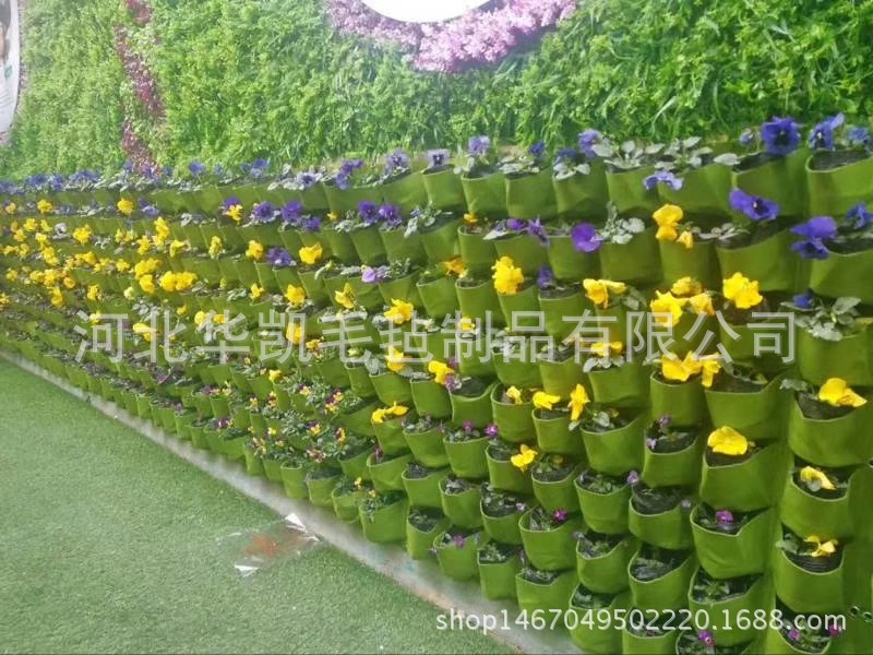 mmexport1525925210041