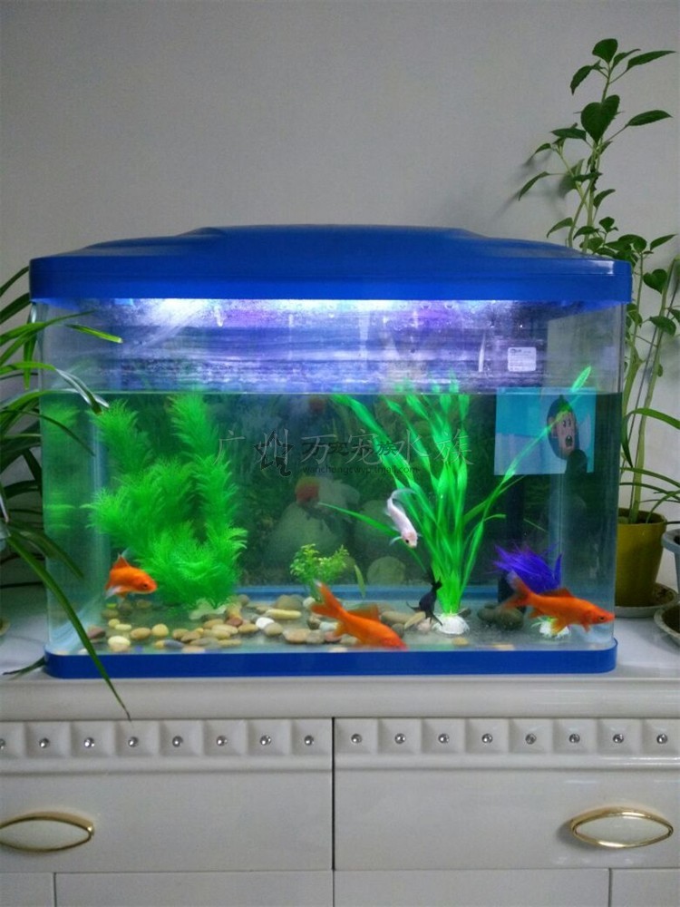 imagelock:3;k:r;s:J/x3zZmo8SxWIF8LKShyvD7nNAkN64SY0kuO8+3Jl0NZbWUK7Zfy74lT5g6MGqvsfmjMecHd32kSfGupo+SRAB8ukJqiDBQX0k8YrBkCd80SmvxRsrqzv0FRFNvIbkP7