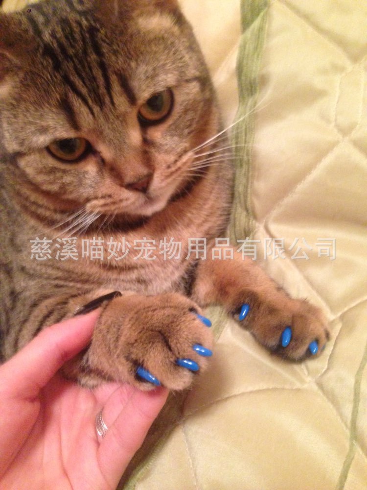 UTB8taLJwWrFXKJk43Ovq6ybnpXa1