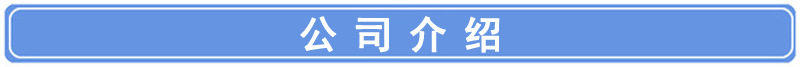 导 公司介绍.jpg