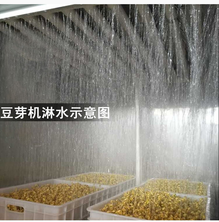豆芽机生产厂家