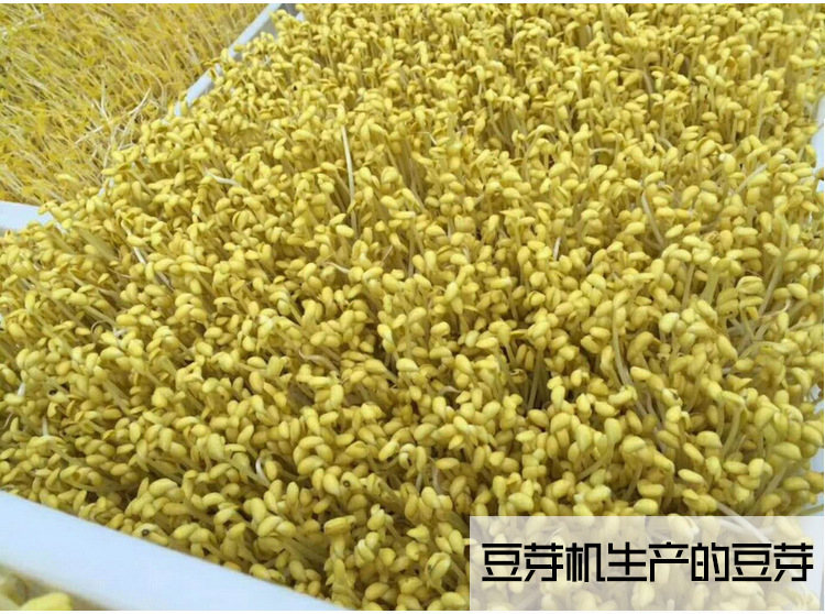 豆芽ji-_14.jpg