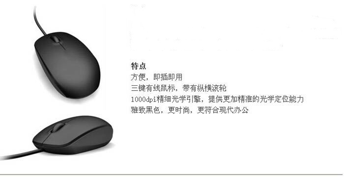 3152583564_278873806_副本