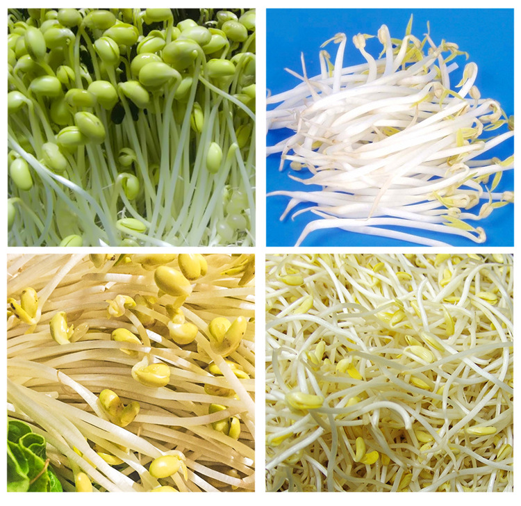 豆芽机