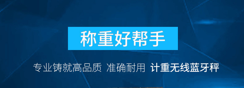上海耀华电子台秤_10