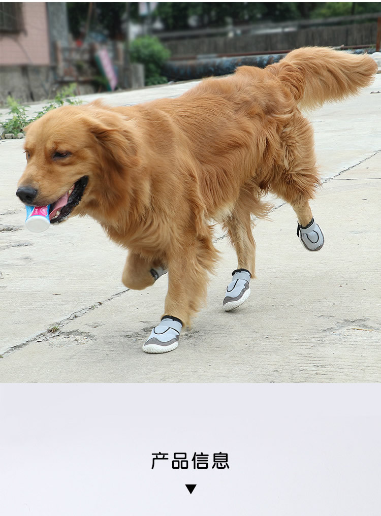 宠物网鞋_r9_c1.jpg