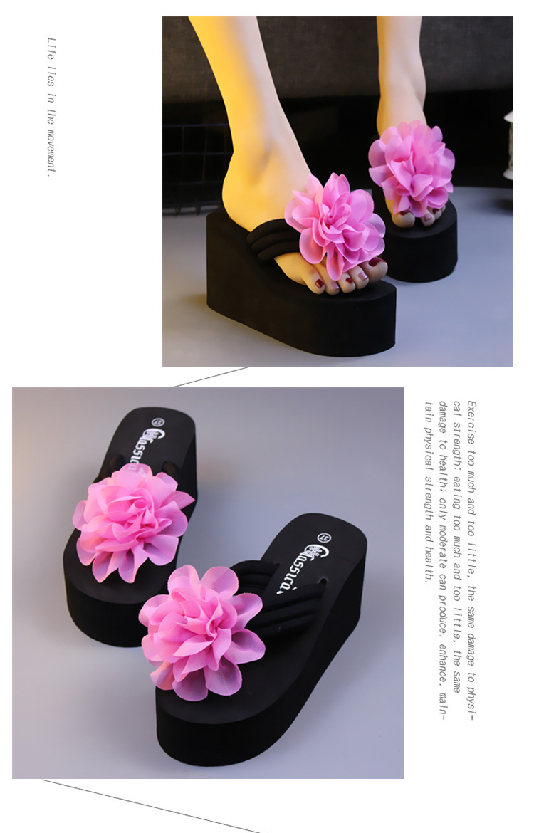 TB2jNGhigRkpuFjyc.6FXa_!!23753