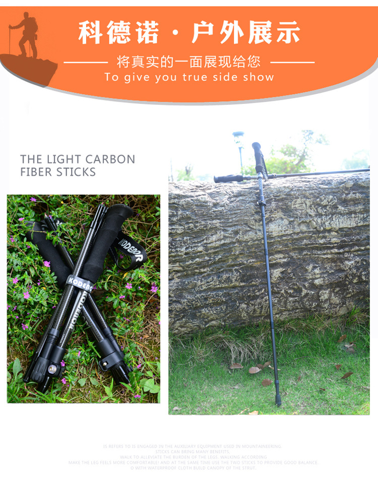 自由光1系 (38).jpg